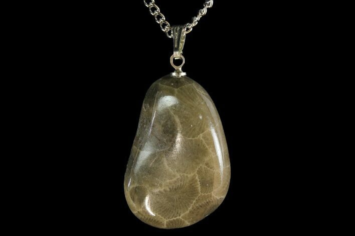 Polished Petoskey Stone (Fossil Coral) Necklace - Michigan #156179